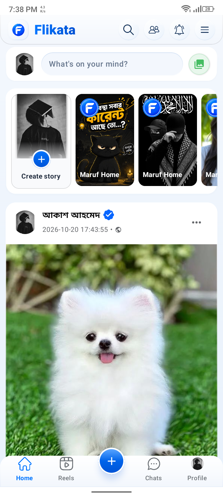 ফ্লিকাটা অ্যাপের হোম স্ক্রিন